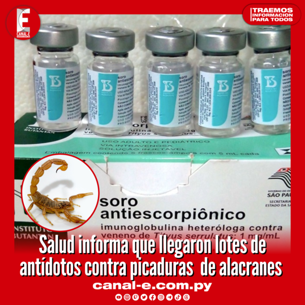 Salud informa que llegaron lotes de antídotos contra picaduras de alacranes