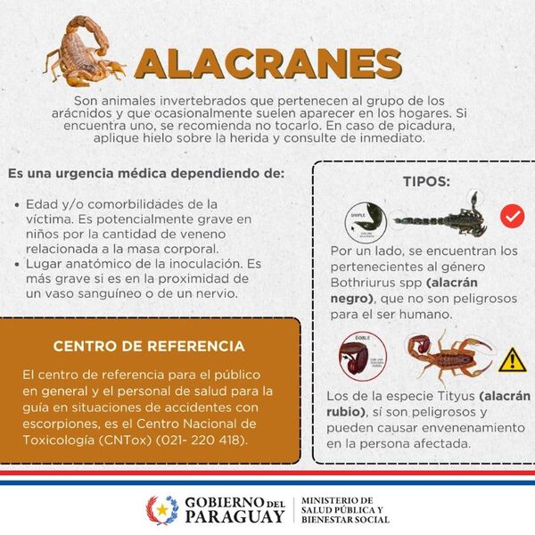 Arribó al país nuevo lote de antídoto contra picadura de alacranes » San Lorenzo PY