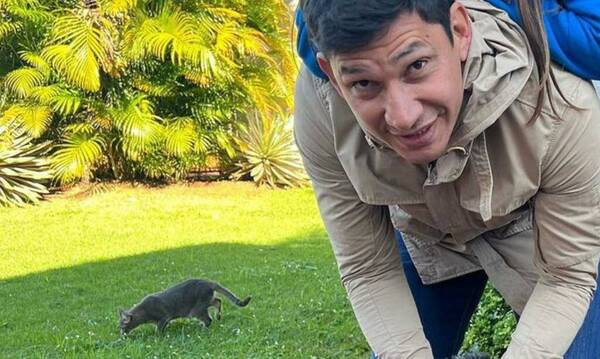 El "Búfalo" sufre de invasión de gatos y noya no sabe qué hacer