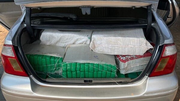 Incautan alrededor de 300 kilos de marihuana en Caaguazú