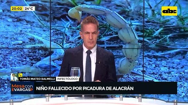 Video: falleció niño que fue picado por alacrán - Mesa de Periodistas - ABC Color