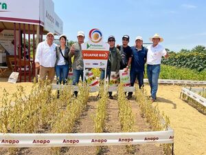 Crece el interés de la genética paraguaya de soja en Bolivia