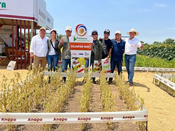 Crece el interés de la genética paraguaya de soja en Bolivia