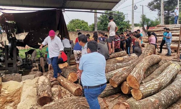 Capataz de un aserradero murió tras sufrir un accidente laboral en Caaguazú – Prensa 5