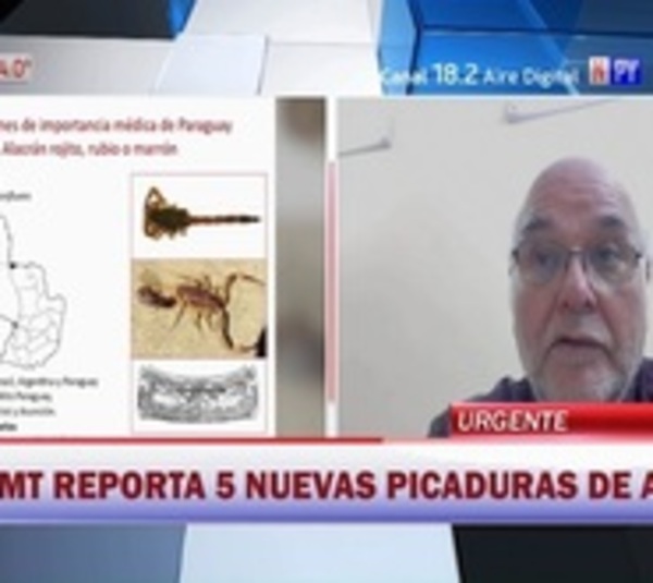 Cinco nuevos casos de picadura de alacrán recibió el IMT - Paraguay.com