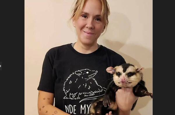 ¿El nuevo héroe paraguayo? El mykurẽ, el animal del que todos hablan