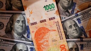 Dolarizar o no, el dilema que quita el sueño a los votantes de Argentina