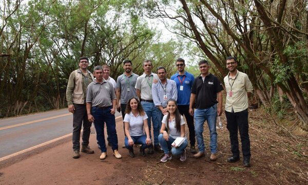 Buscan restaurar el “Túnel Verde” de Santa Rita