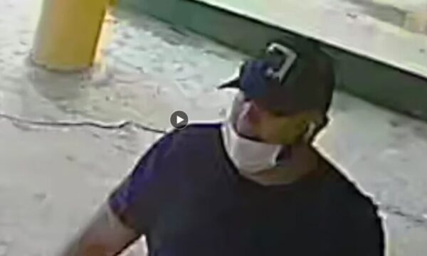 Con inhibidor, tortoleros pelaron a experto en ciberseguridad
