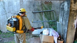 Encarnación registra índice larvario del 50% en algunos barrios