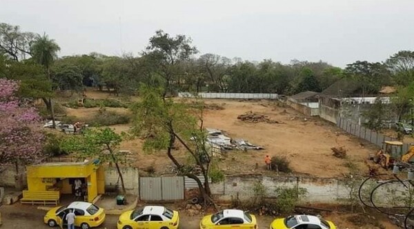 Diario HOY | Supermercado en San Vicente: vecinos rechazan tala de 150 árboles