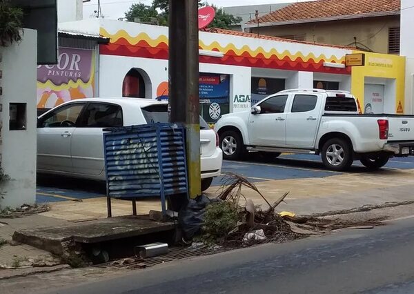 Arquitecto lamenta que Asunción crezca sin planificación - Nacionales - ABC Color