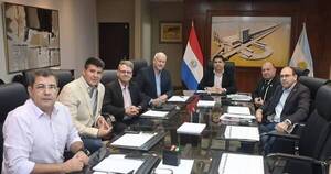 La Nación / Proveedora alemana informa avance del 35% de obras civiles en Aña Cuá
