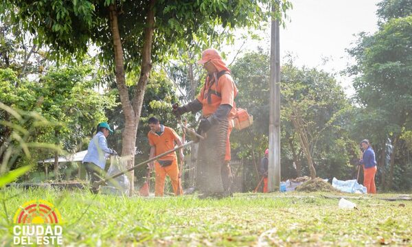 Proyecto “Ciudad Naciente” recupera otra naciente con apoyo de estudiantes – Diario TNPRESS
