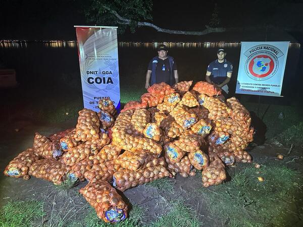 INCAUTAN 2000 KILOGRAMOS DE CEBOLLA EN CAMPICHUELO