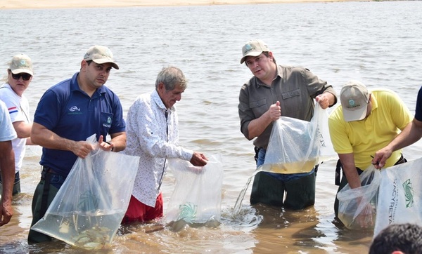 Siembran alevines en aguas del río Tebicuary