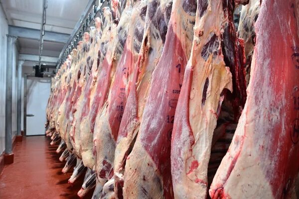 Carne: pilar económico del país - Económico - ABC Color
