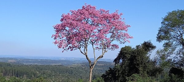 Persiste el ambiente caluroso en el territorio nacional - ADN Digital