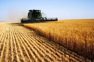 Aumentan los precios de los commodities y entusiasma a los exportadores - La Tribuna