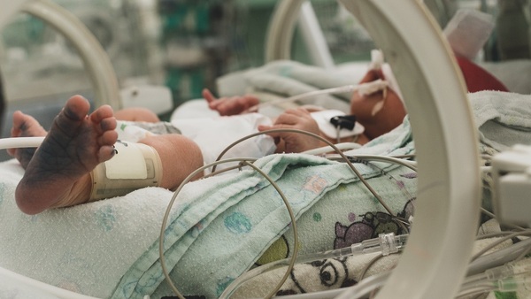 ONU advierte que 120 bebés incubados corren peligro por falta de combustible en Gaza | 1000 Noticias