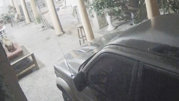 "Encanta" a los perros para entrar a robar en las casas