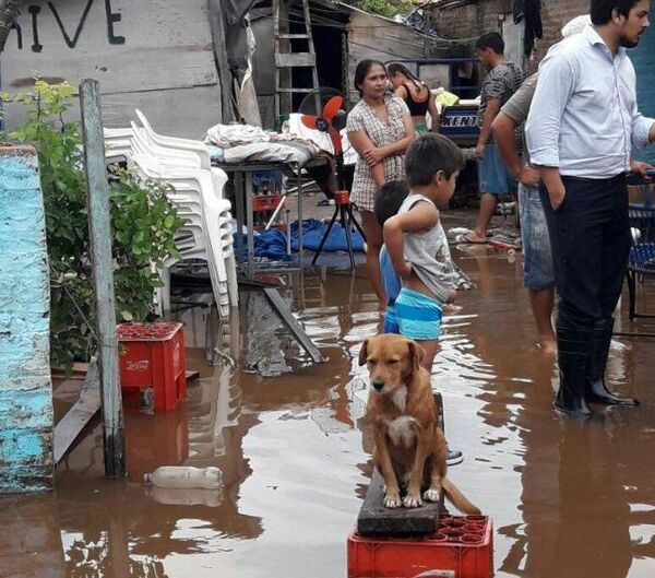 Familias huyen como pueden
