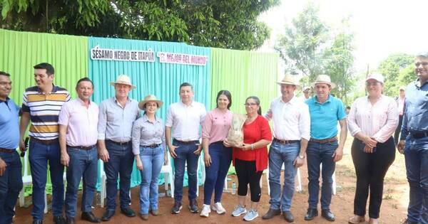 La Nación / Prevén repuntar cosecha y volumen exportado de sésamo negro