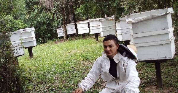 La Nación / Joven apicultor logra buenos rendimientos y pide mayor apoyo del gobierno