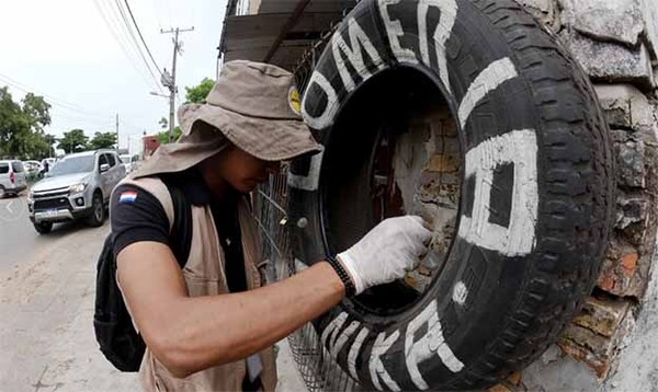 Salud refuerza alerta de epidemia de dengue en el país y pide participación ciudadana | DIARIO PRIMERA PLANA