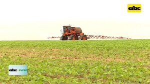 Video: estrategias y herramientas de control de enfermedades en soja - ABC Rural - ABC Color