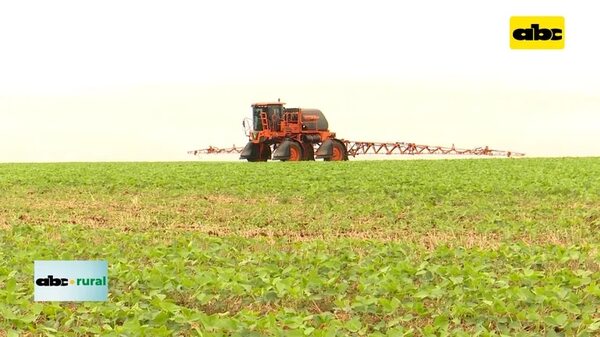 Video: estrategias y herramientas de control de enfermedades en soja - ABC Rural - ABC Color