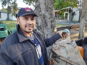 Abonos orgánicos: la clave del éxito de los pequeños productores frutihortícolas