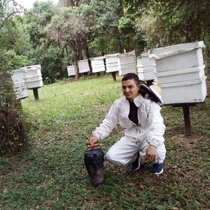Joven apicultor logra buenos rendimientos y pide mayor apoyo del Gobierno