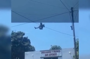 Diario HOY | El "robacables Spiderman": fue filmado mientras trepaba por el cableado en Villa Elisa