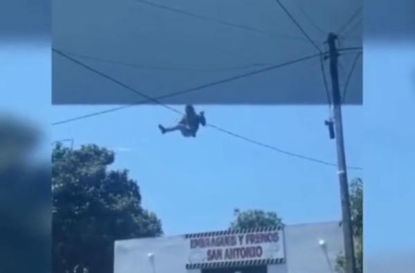 Diario HOY | El "robacables Spiderman": fue filmado mientras trepaba por el cableado en Villa Elisa