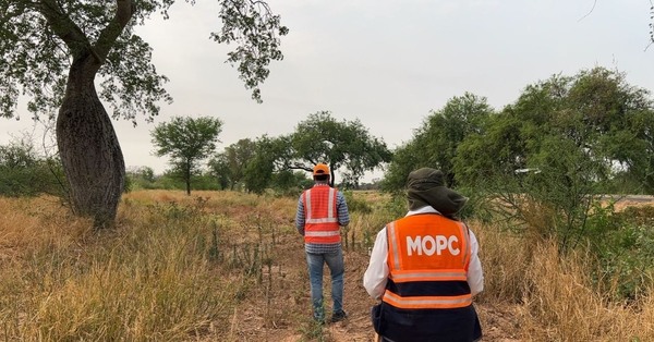 Verifican árboles repuestos en la zona de obras de la ruta PY09
