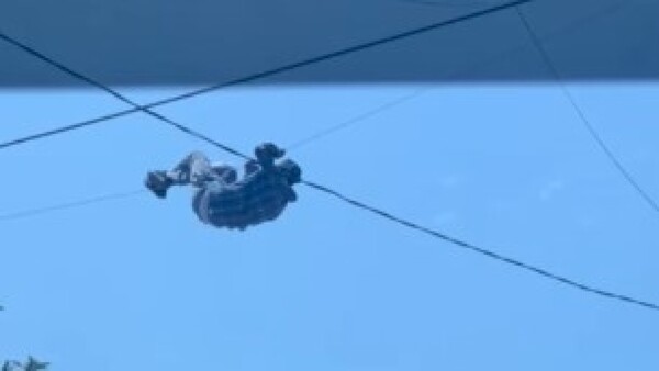 Apresaron al "hombre araña" por intento de robo