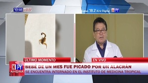 Recién nacido fue picado por un alacrán en San Lorenzo - Noticias Paraguay
