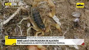 Video: bebé llegó con picadura de alacrán  - ABC Noticias - ABC Color