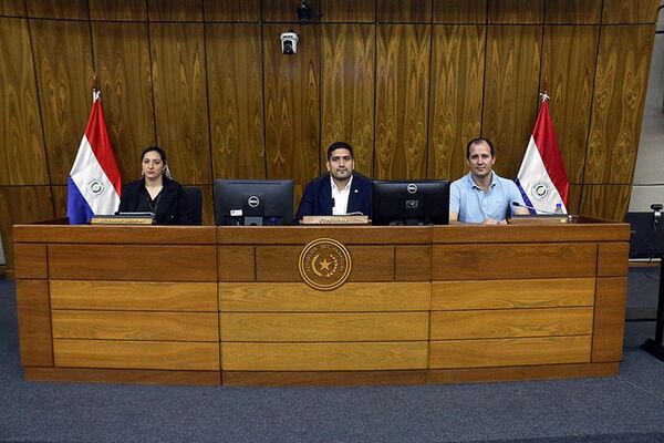 Diputados respaldan a funcionarios desvinculados de Itaipú - El Independiente
