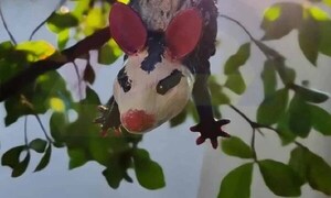Comercializan mykurẽ de plástico fabricado con impresora 3D – Prensa 5