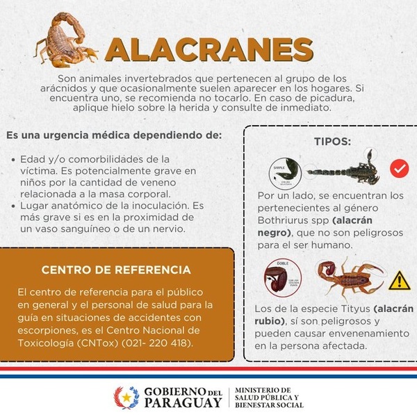Paraguay recibirá esta semana 60 ampollas contra picaduras de alacranes