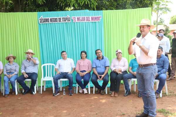 SE LANZÓ EN ITAPÚA CAMPAÑA DE SIEMBRA DE SÉSAMO NEGRO APUNTANDO A 3.000 HECTÁREAS - Itapúa Noticias