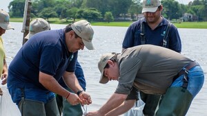 Siembran 2.500 alevines en el Río Tebicuary en Misiones