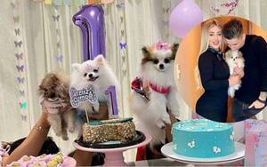 ¡Wowww... Mirá el cumple de la perrita de Guillermo Paiva y su novia!
