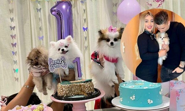 ¡Otro level! El festejo re exclusivo de Guillermo Paiva y su novia por el cumpleaños de su perrita fashion
