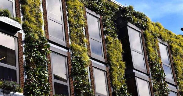 La Nación / Basa participará de panel de expertos en la BuildGreen 2023