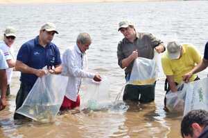 Yacyretá siembra alevines en aguas del río Tebicuary