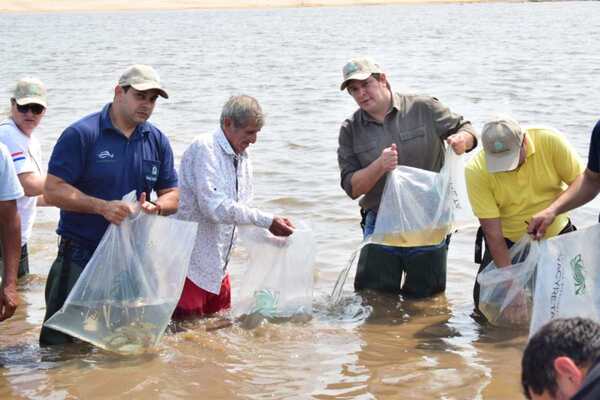 Yacyretá siembra alevines en aguas del río Tebicuary