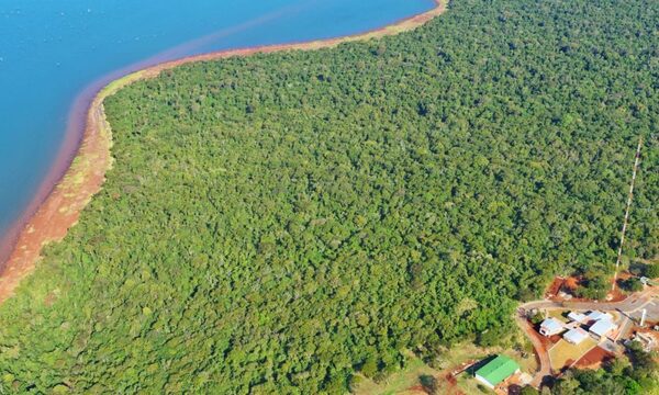 ITAIPU conmemora día contra el cambio climático y ratifica su rol de actor clave para hacer frente a la problemática